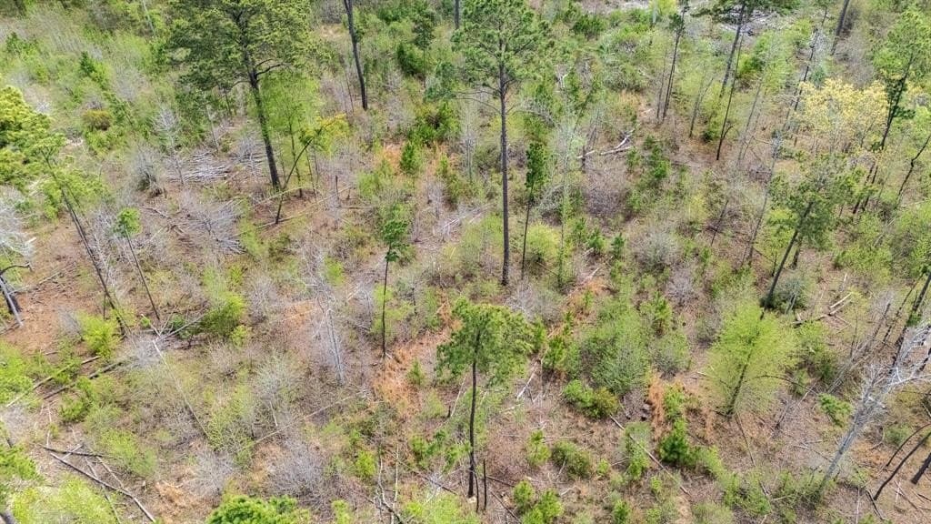 5.12 acres in Smith County - photo 6