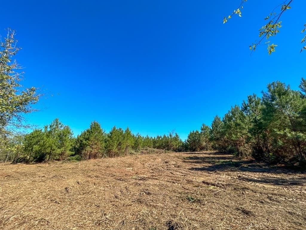 12.01 acres in Panola County - photo 10