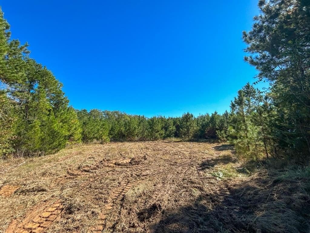 12.01 acres in Panola County - photo 8