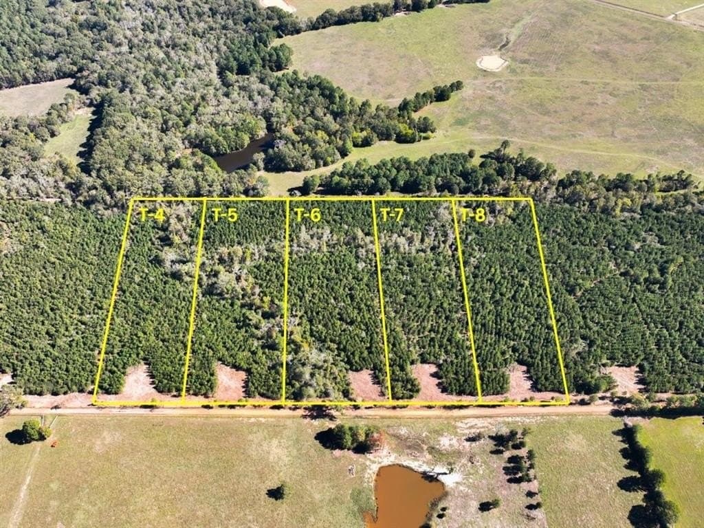 12.01 acres in Panola County - photo 3