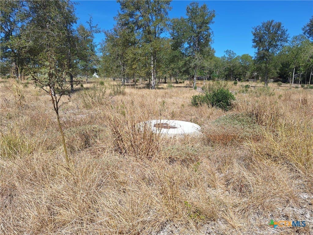 8 acres in Guadalupe County - photo 5
