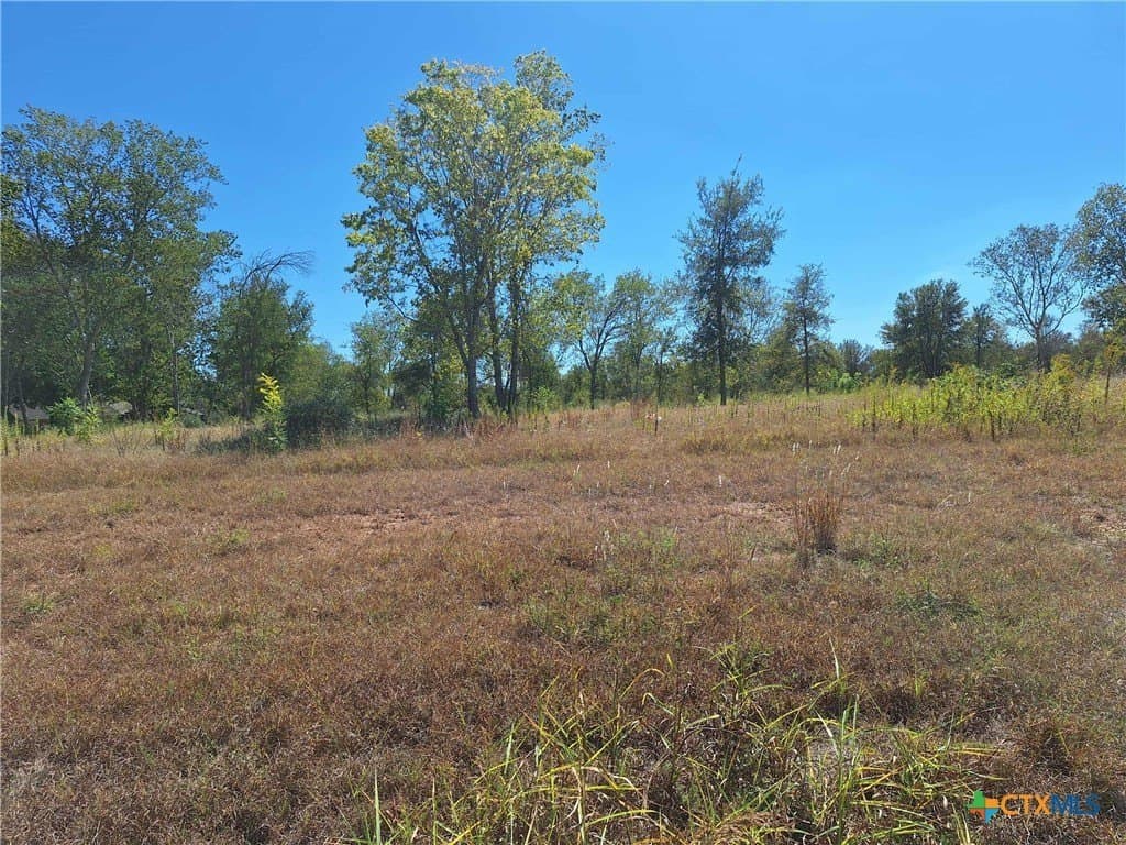 8 acres in Guadalupe County - photo 12