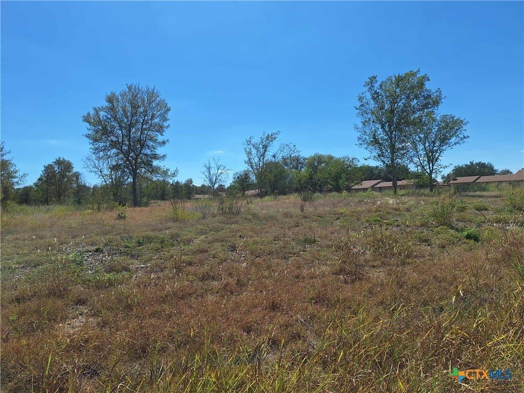 8 acres in Guadalupe County - photo 9