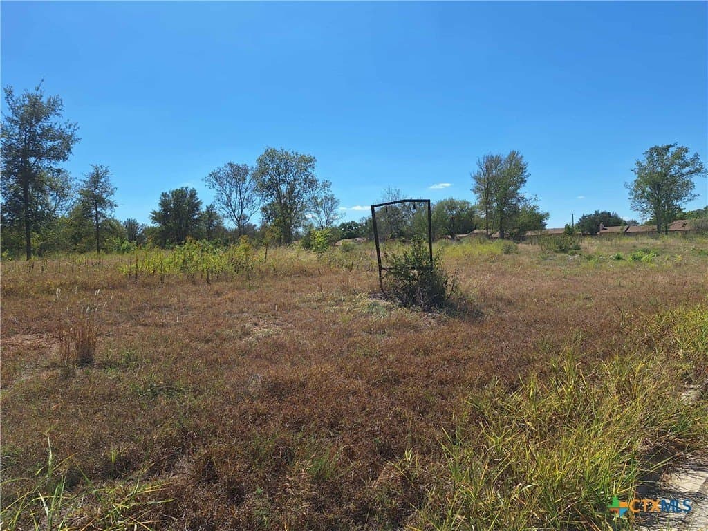8 acres in Guadalupe County - photo 11