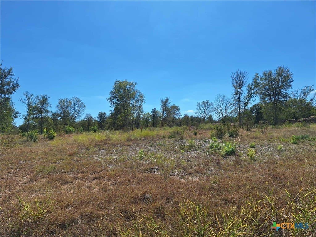 8 acres in Guadalupe County - photo 10