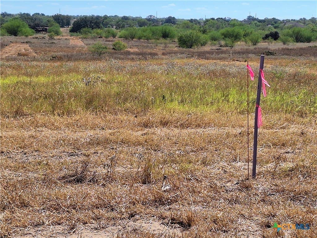 8 acres in Guadalupe County - photo 8