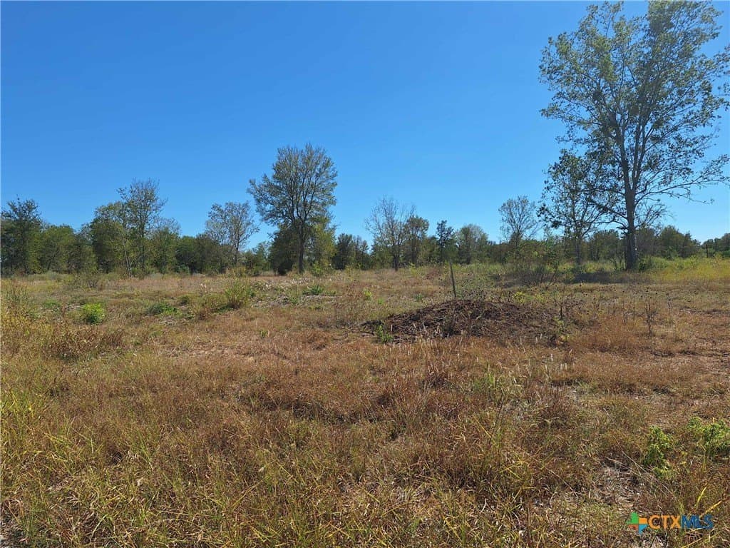 8 acres in Guadalupe County - photo 7