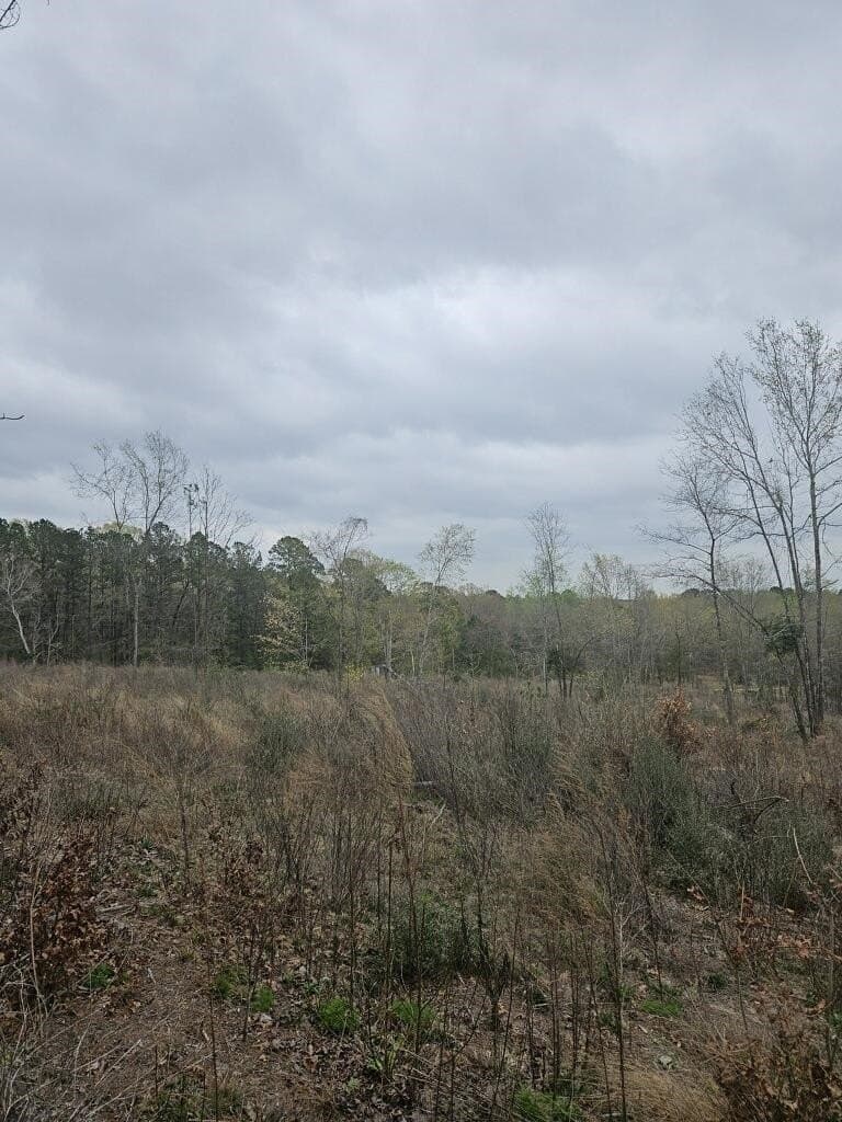 20 acres in Texas County - photo 3