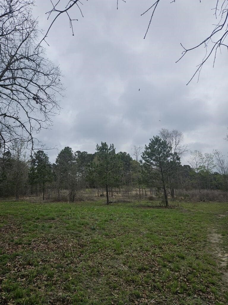 20 acres in Texas County - photo 6