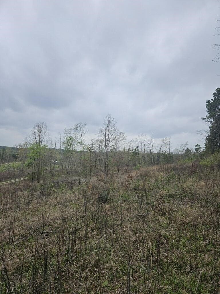 20 acres in Texas County - photo 4