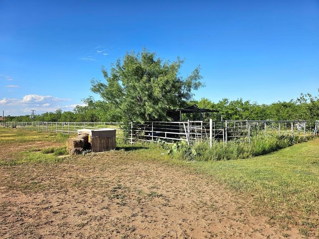 18.75 acres in Scurry County - photo 15