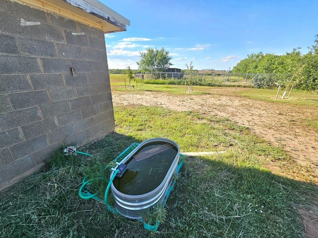 18.75 acres in Scurry County - photo 12