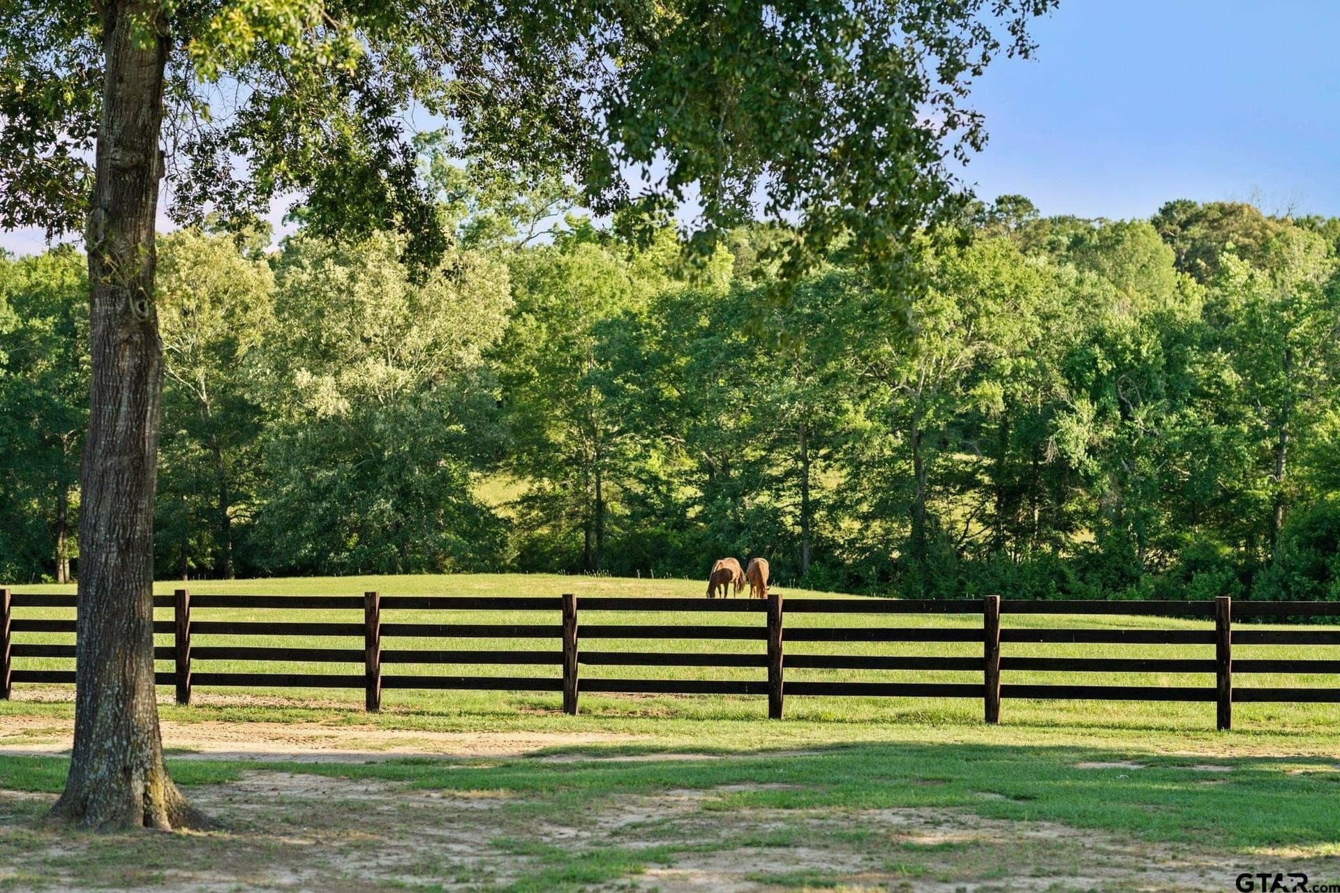 45.7 acres in Gregg County - photo 46