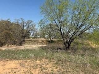 1.04 acres in Parker County - photo 2