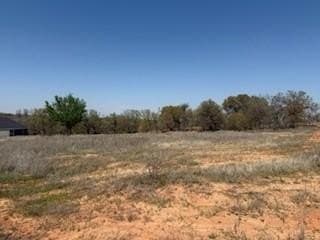 1.04 acres in Parker County - photo 8