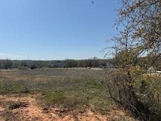 1.04 acres in Parker County - photo 9