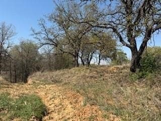 1.04 acres in Parker County - photo 7