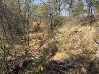 1.04 acres in Parker County - photo 6