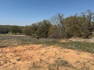 1.04 acres in Parker County - photo 11