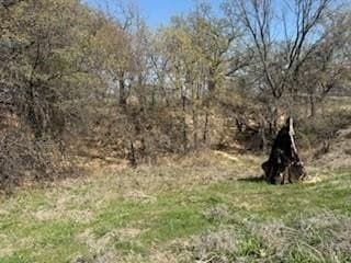 1.04 acres in Parker County - photo 3