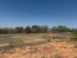 1.04 acres in Parker County - photo 10