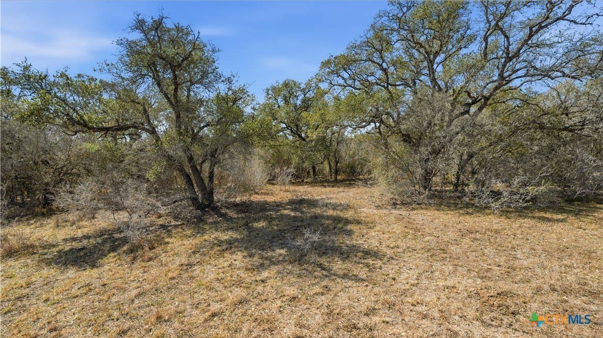 43.67 acres in DeWitt County - photo 6