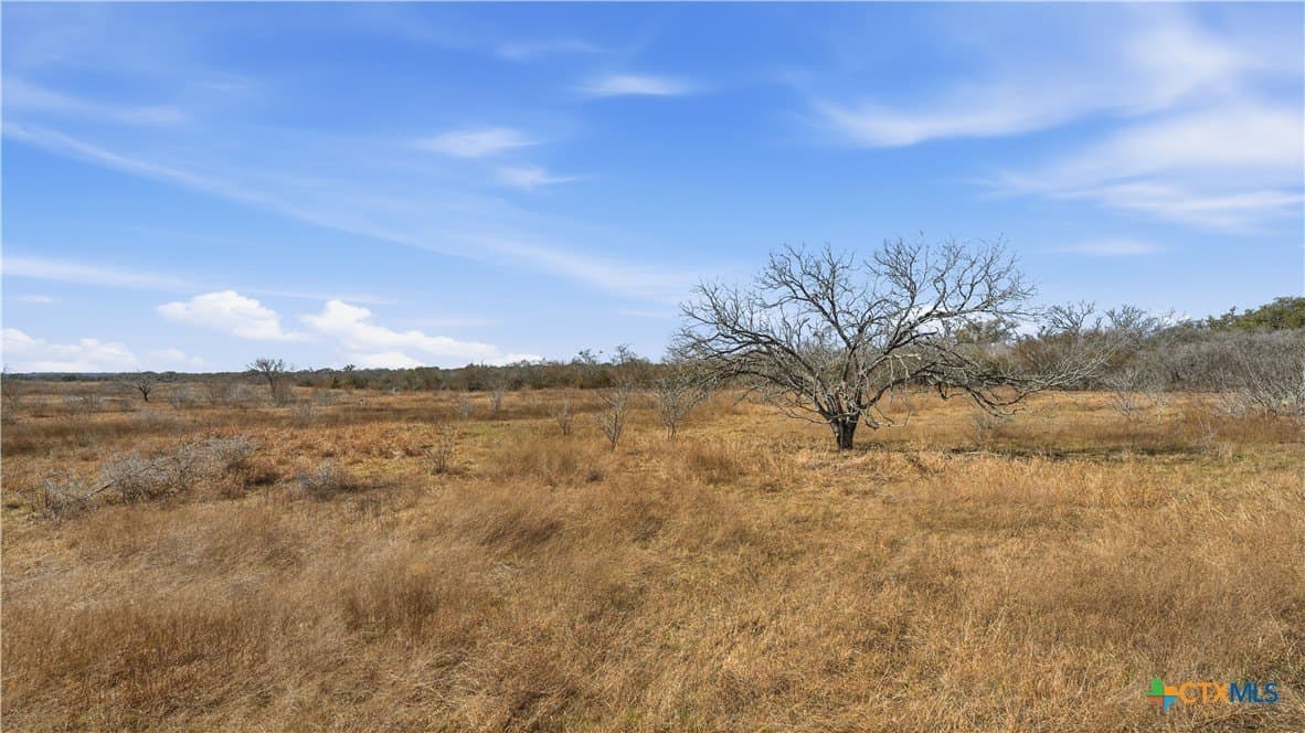 43.67 acres in DeWitt County - photo 7