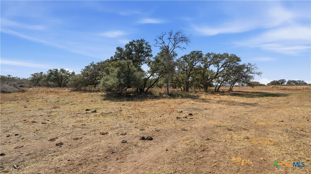 43.67 acres in DeWitt County - photo 11