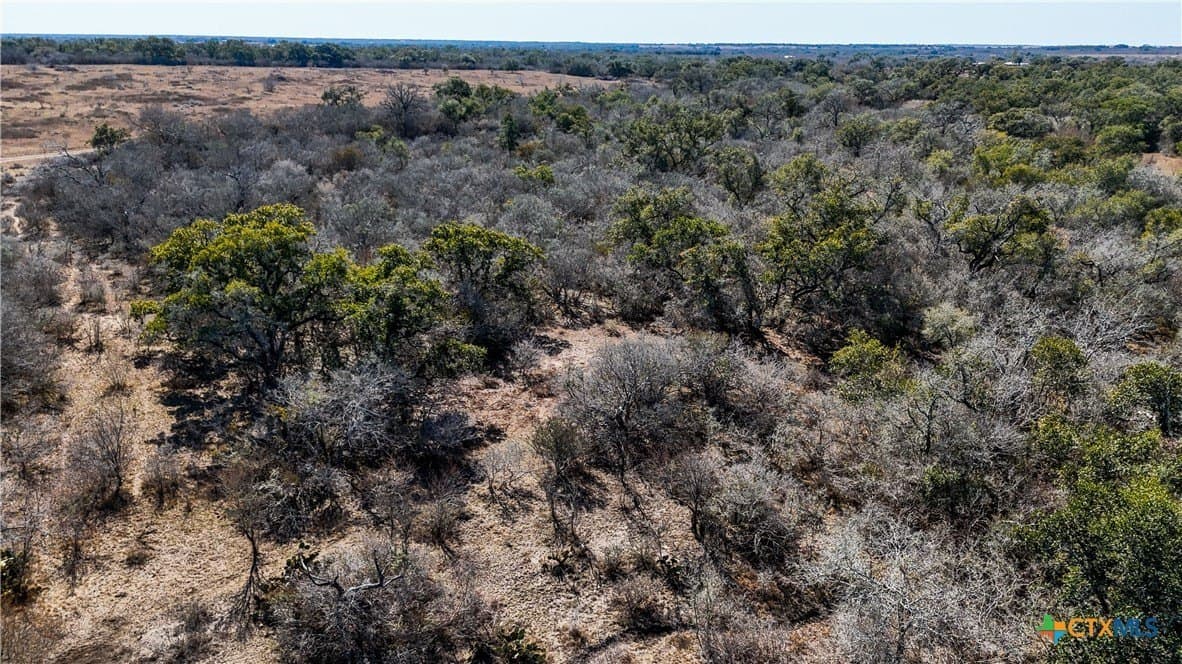 43.67 acres in DeWitt County - photo 12