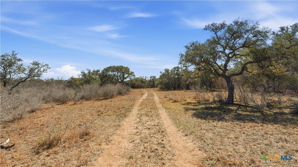 43.67 acres in DeWitt County - photo 10