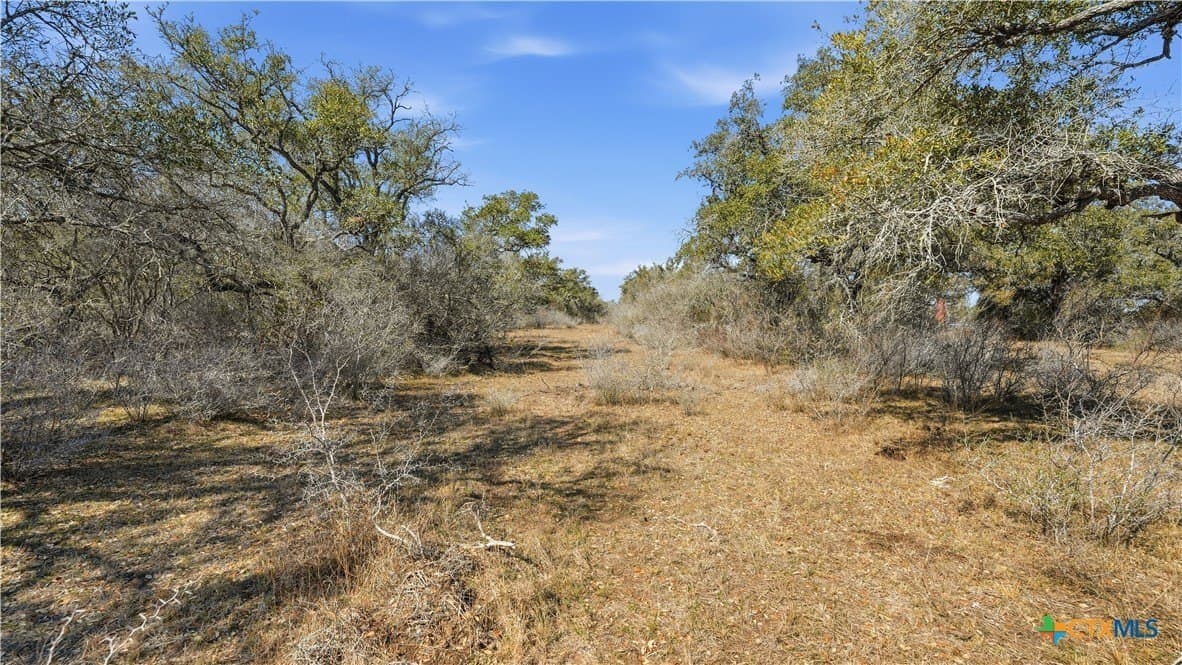 43.67 acres in DeWitt County - photo 8