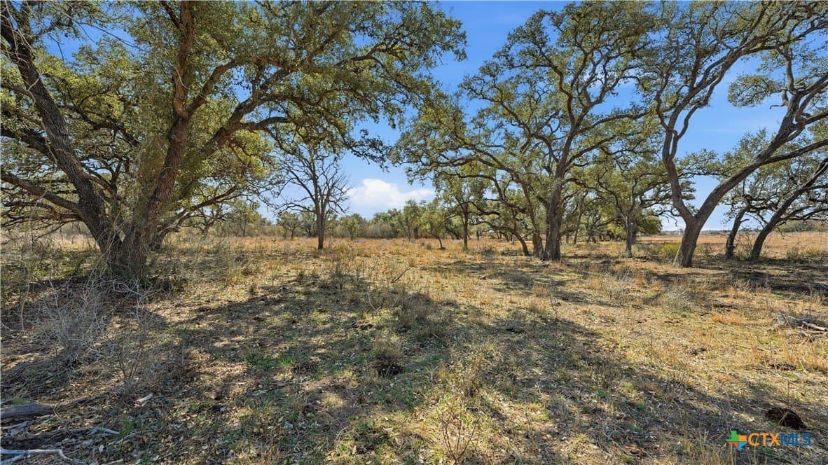 43.67 acres in DeWitt County - photo 2