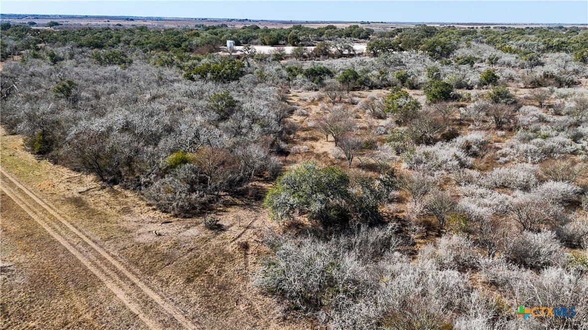 43.67 acres in DeWitt County - photo 16