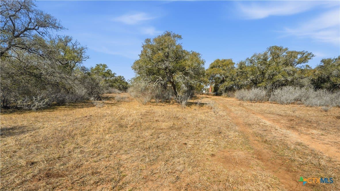43.67 acres in DeWitt County - photo 9