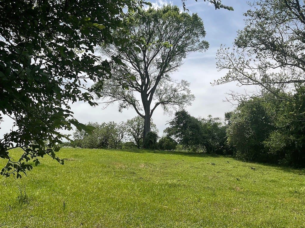 Riverside Plantation Rd
