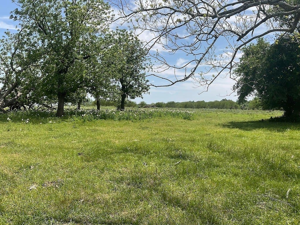 42 acres in Washington County - photo 3