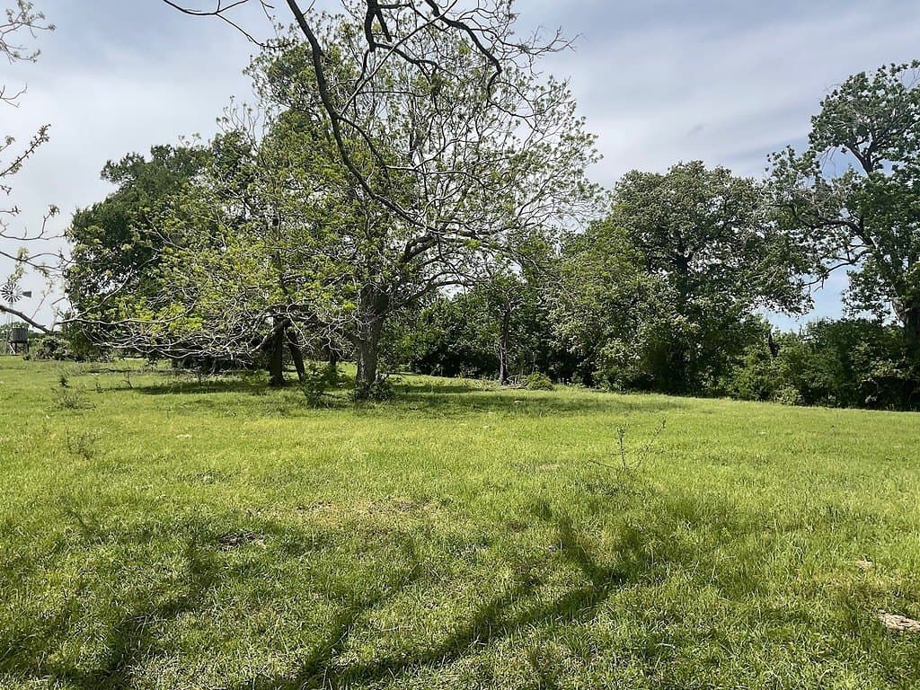 42 acres in Washington County - photo 4