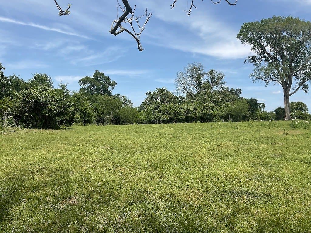 42 acres in Washington County - photo 5