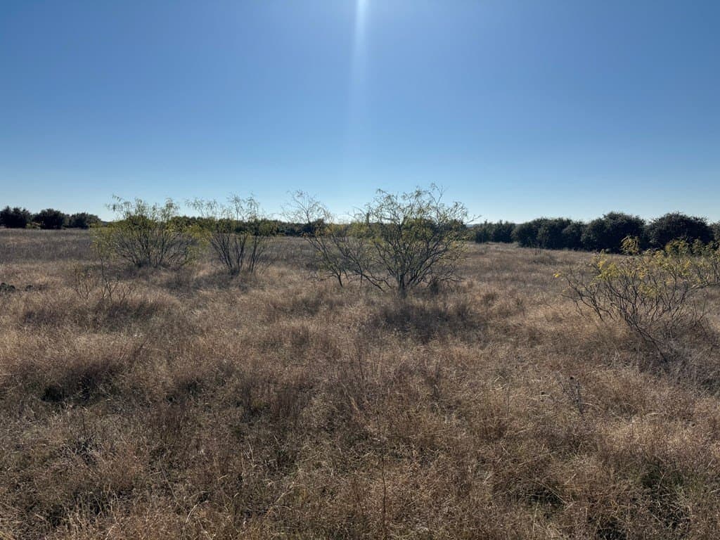 2.97 acres in Palo Pinto County - photo 8