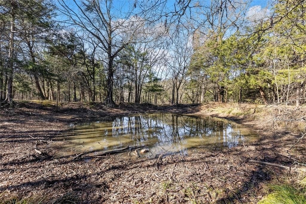 37.3 acres in Hopkins County - photo 10