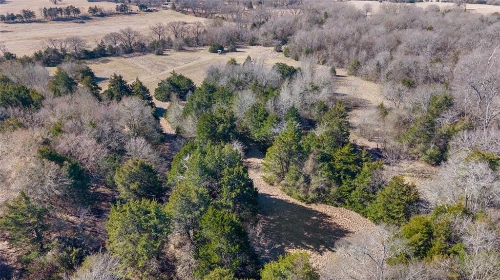 37.3 acres in Hopkins County - photo 19