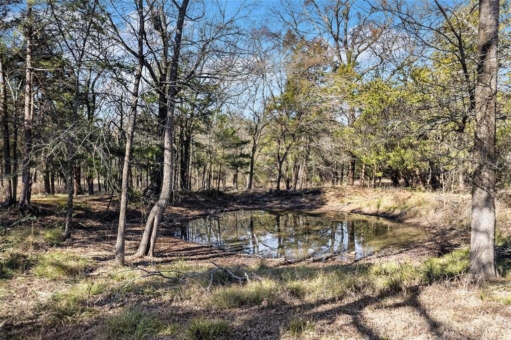 37.3 acres in Hopkins County - photo 30