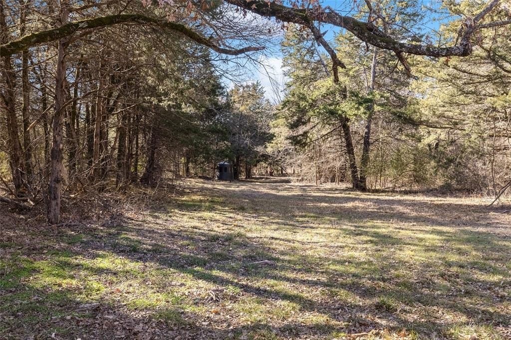 37.3 acres in Hopkins County - photo 35