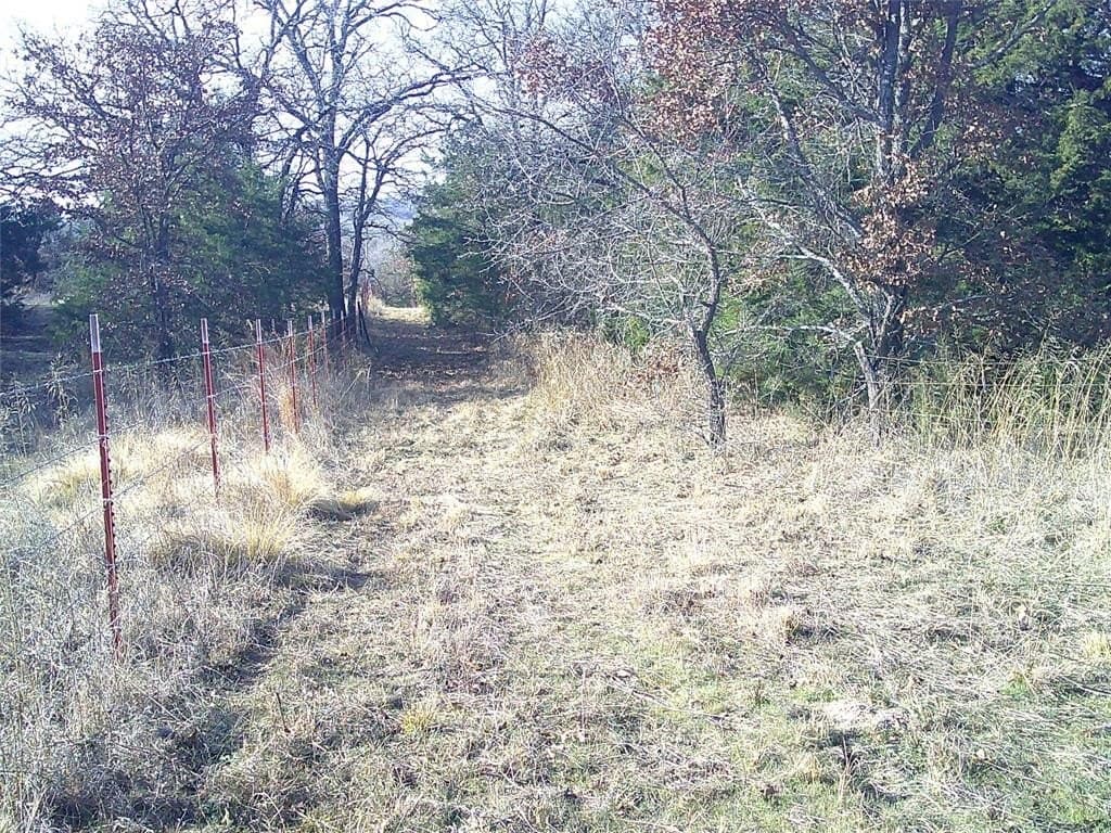 2.85 acres in Montague County - photo 5
