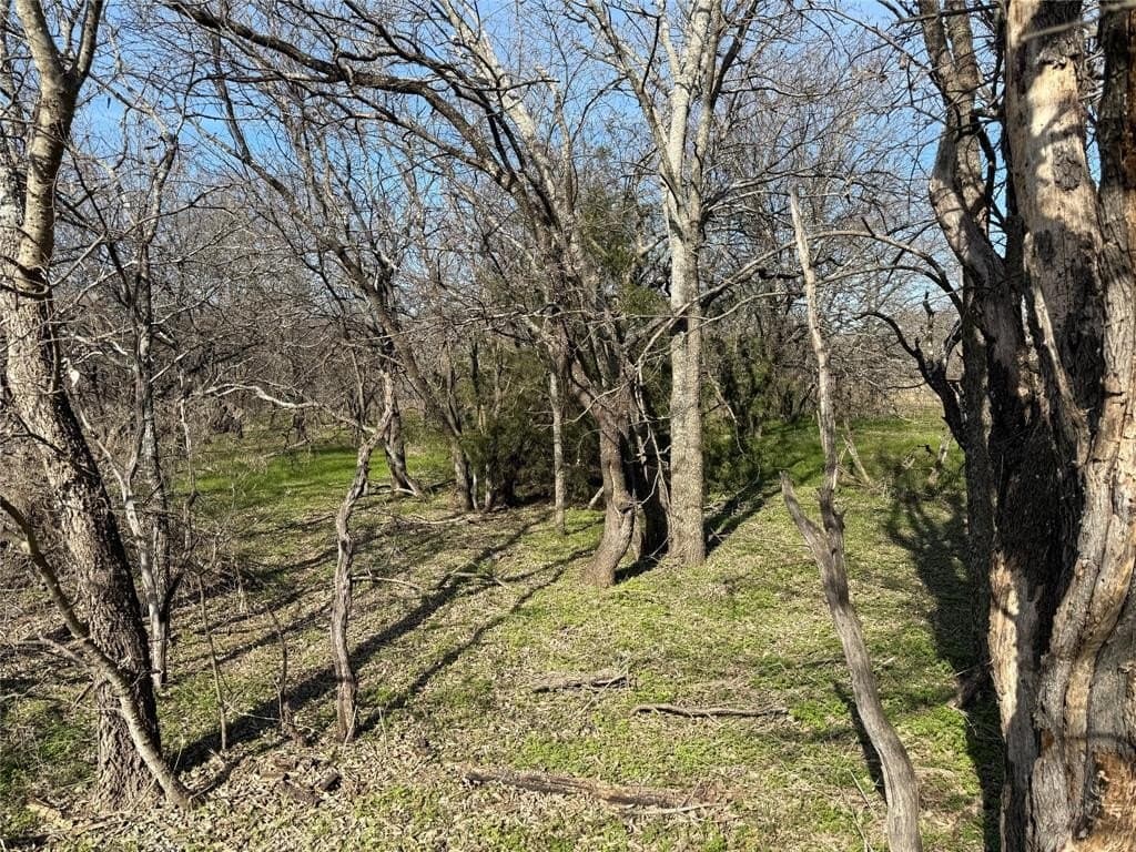 13.53 acres in Johnson County - photo 40