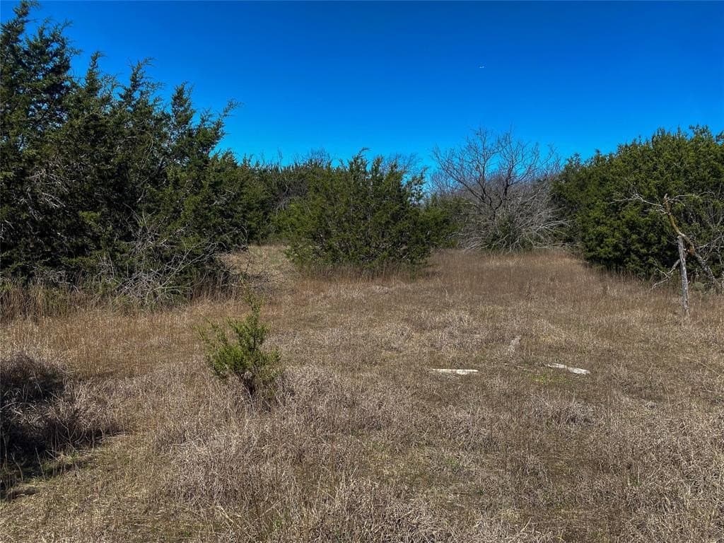 13.53 acres in Johnson County - photo 33