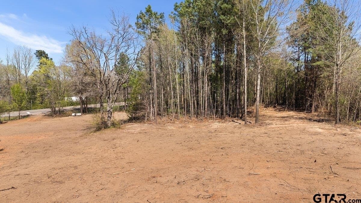 1.7 acres in Smith County - photo 7