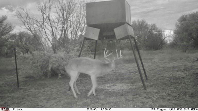 249.51 acres in Mills County - photo 3