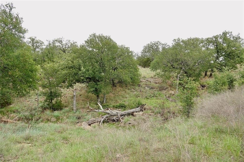 249.51 acres in Mills County - photo 27