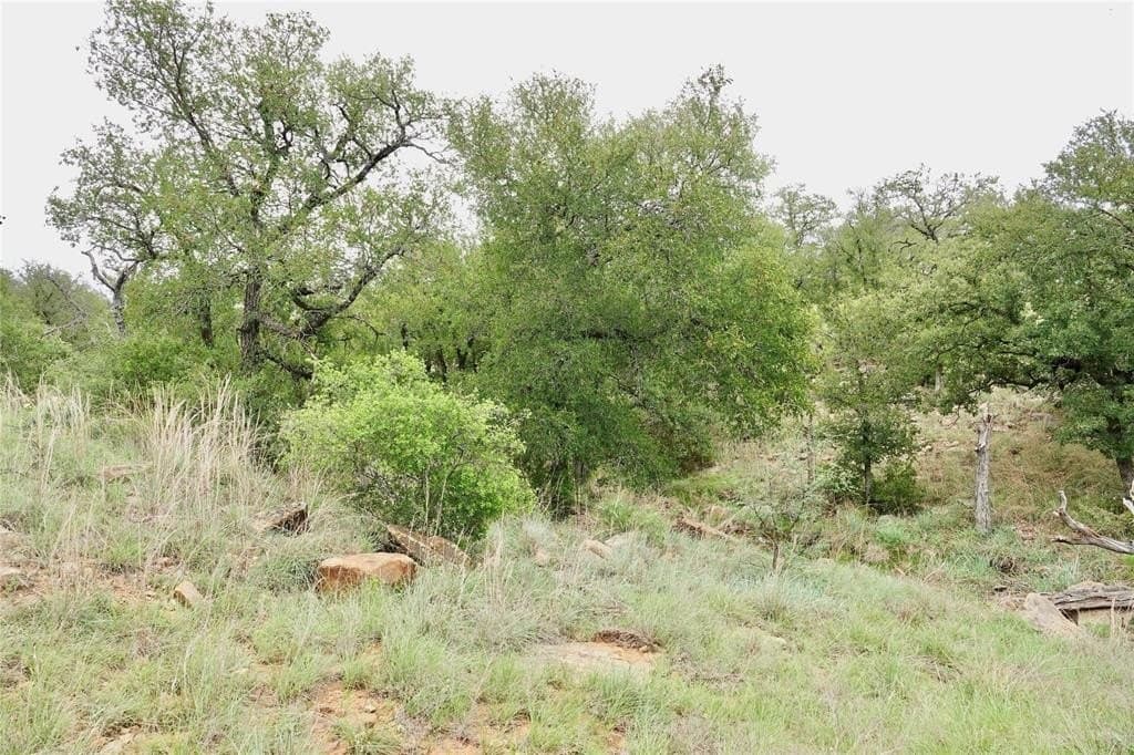 249.51 acres in Mills County - photo 26